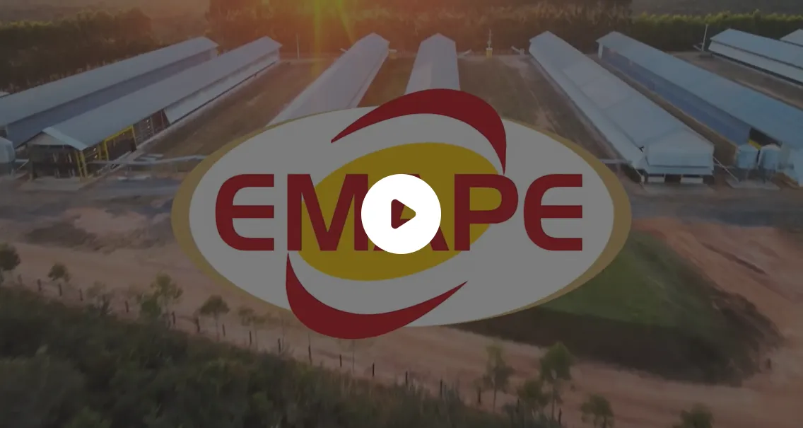 Vídeo Institucional Emape